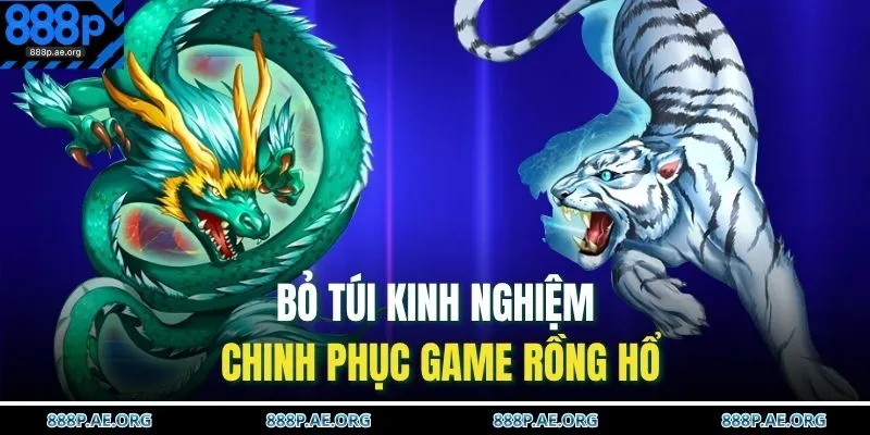 Cách Chơi Rồng Hổ – Mẹo Cược Chuẩn Xác, Ăn Tiền Dễ Dàng 4 Bỏ túi kinh nghiệm chinh phục game Rồng Hổ