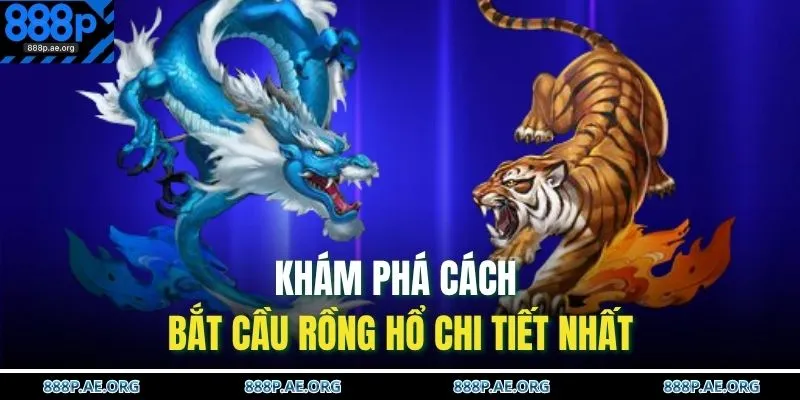Khám phá cách bắt cầu Rồng Hổ chi tiết nhất