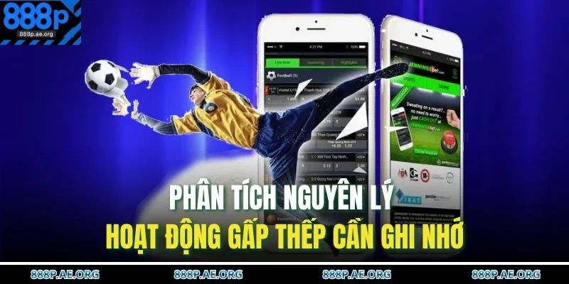 Phân tích nguyên lý hoạt động gấp thếp cần ghi nhớ