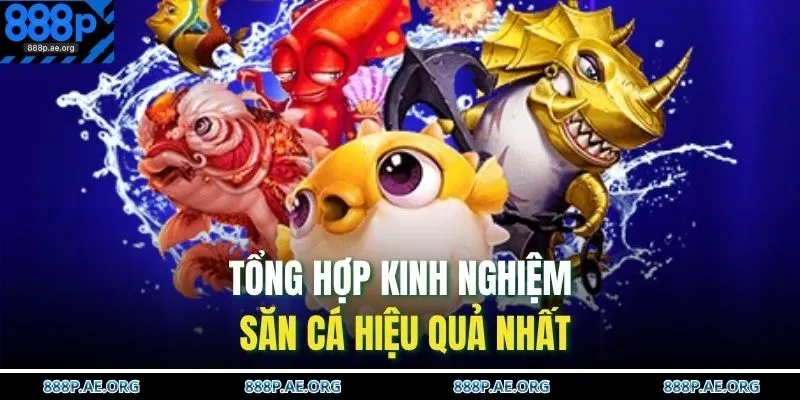 Tổng hợp kinh nghiệm săn cá hiệu quả nhất