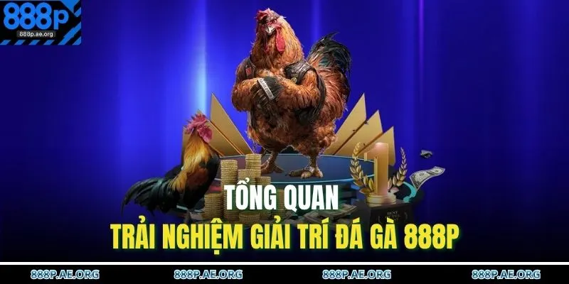 Tổng quan trải nghiệm giải trí đá gà 888P